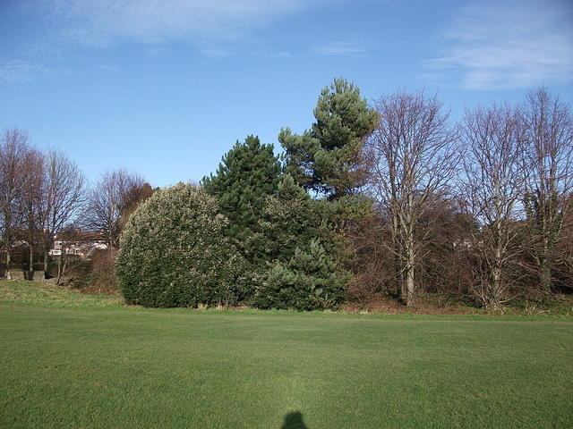 DSCF0038