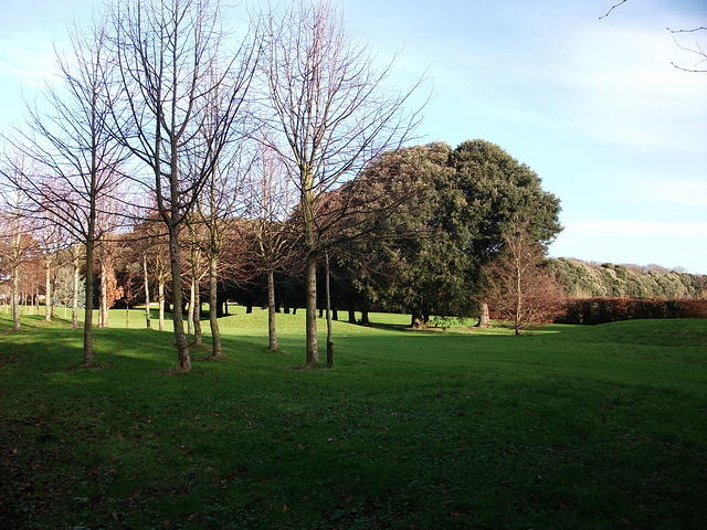 DSCF0040