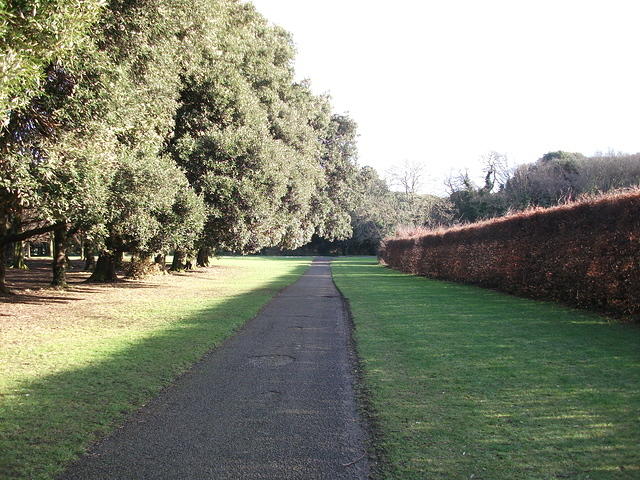 DSCF0047