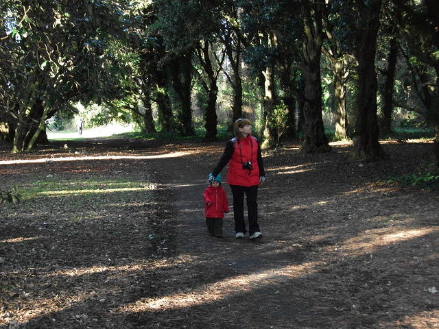 DSCF0059