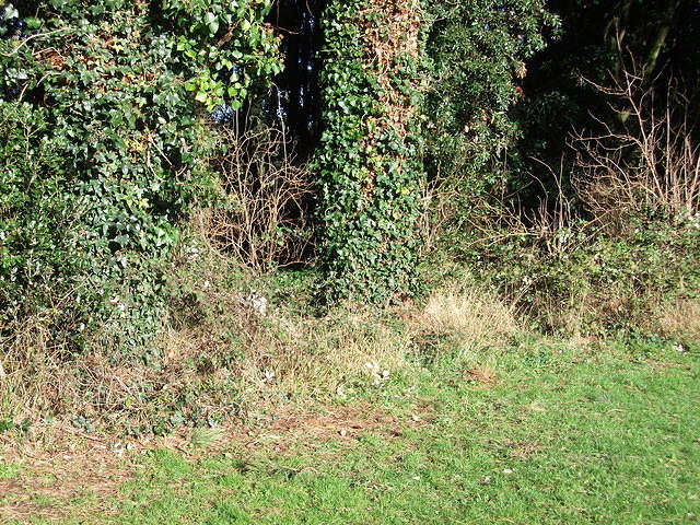 DSCF0061