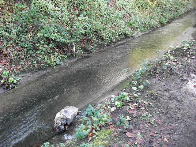 DSCF0074