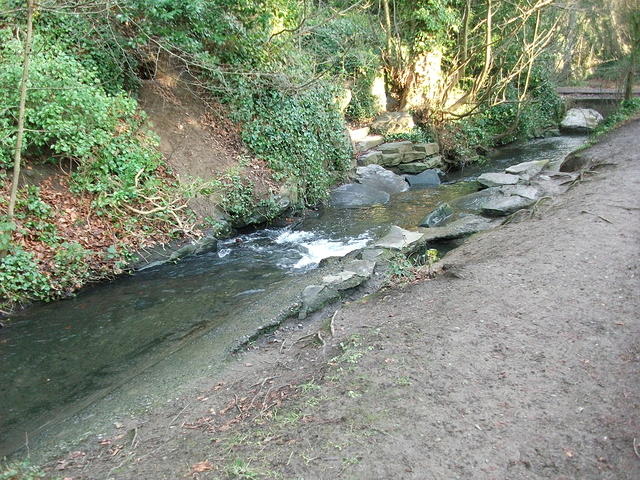 DSCF0075
