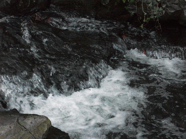 DSCF0077
