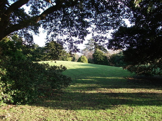 DSCF0083
