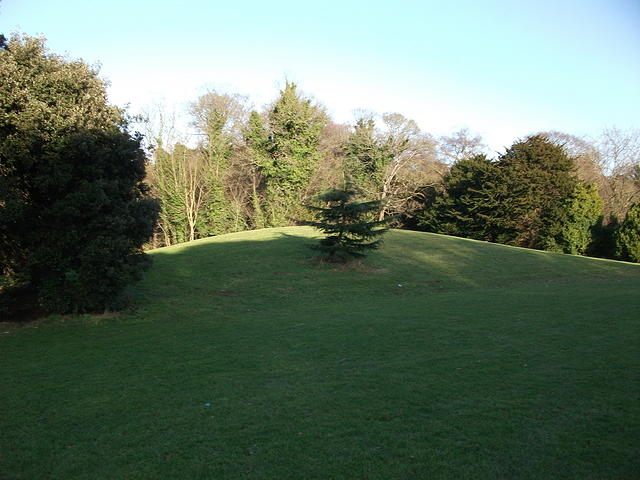 DSCF0085
