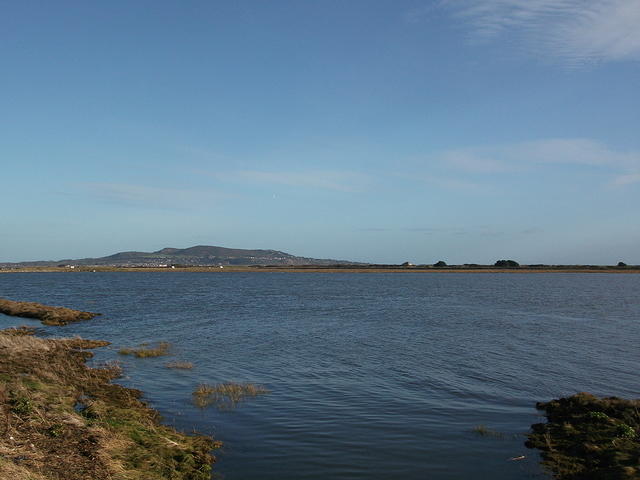 DSCF0100