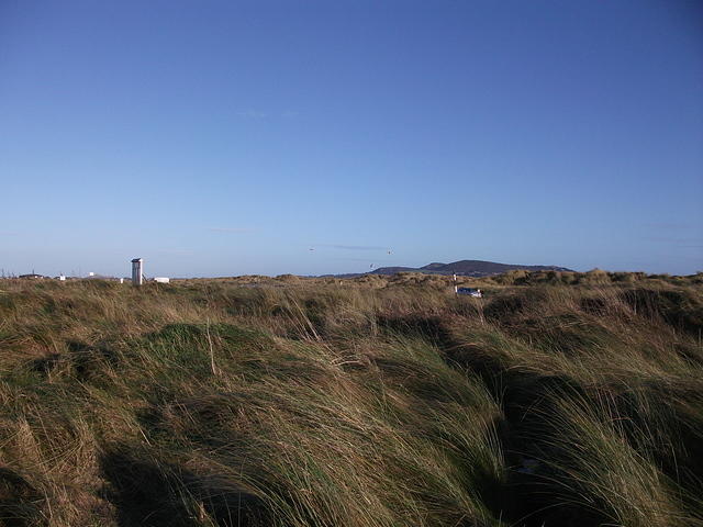 DSCF0104