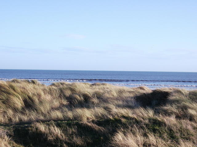DSCF0108