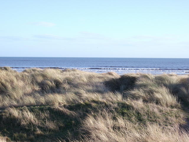 DSCF0109