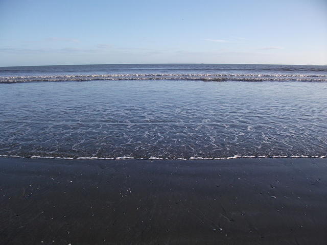 DSCF0117