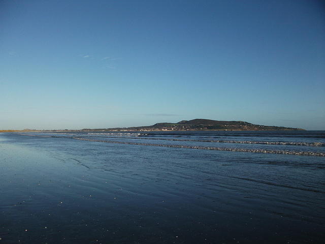 DSCF0119