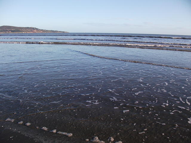 DSCF0121