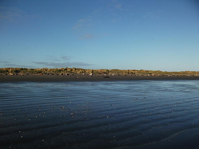 DSCF0122