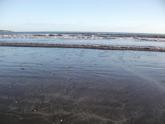 DSCF0128