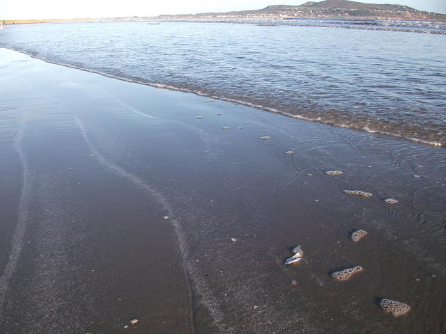 DSCF0131