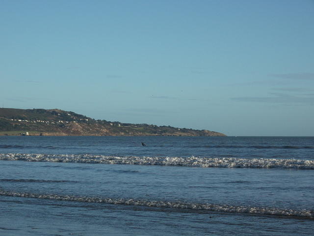 DSCF0132