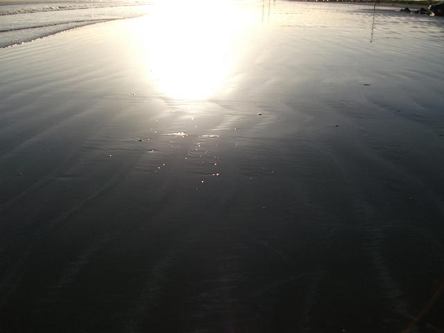 DSCF0133