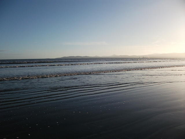 DSCF0134