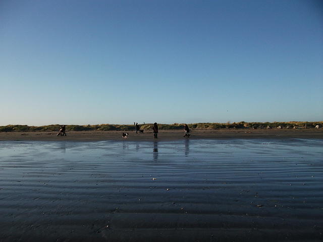 DSCF0136