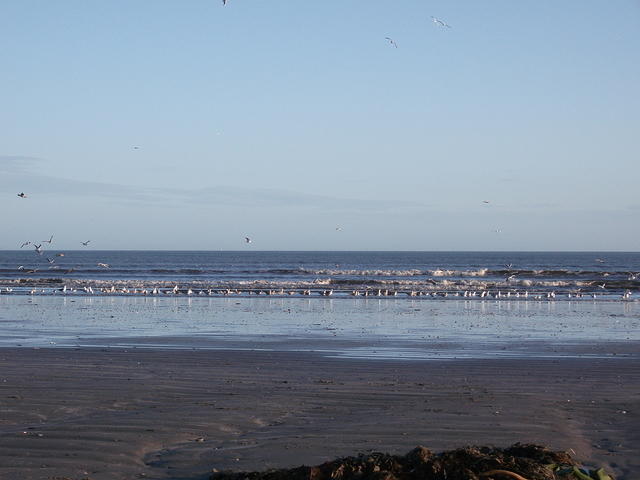 DSCF0146
