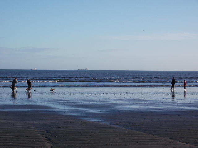 DSCF0154