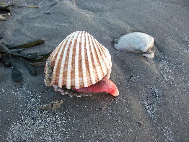DSCF0155