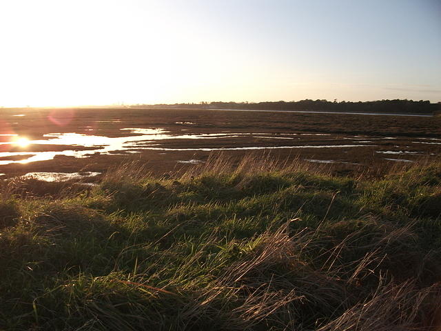 DSCF0175