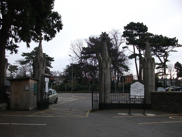 DSCF0384