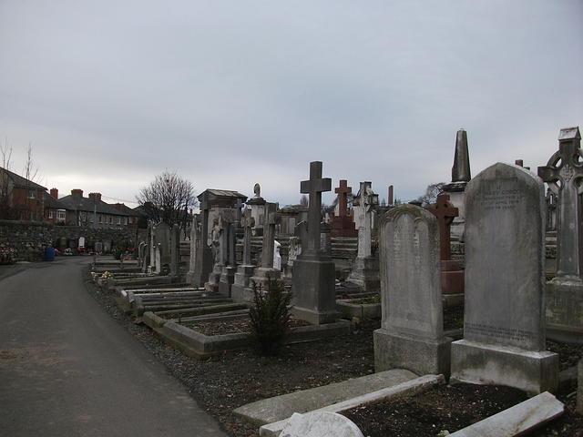DSCF0388
