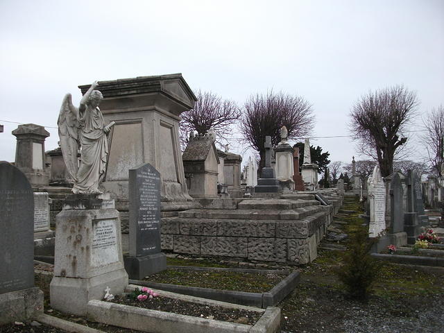 DSCF0390