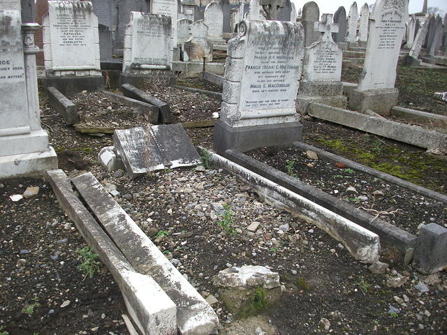 DSCF0393