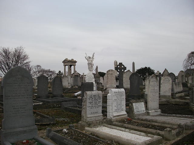 DSCF0395
