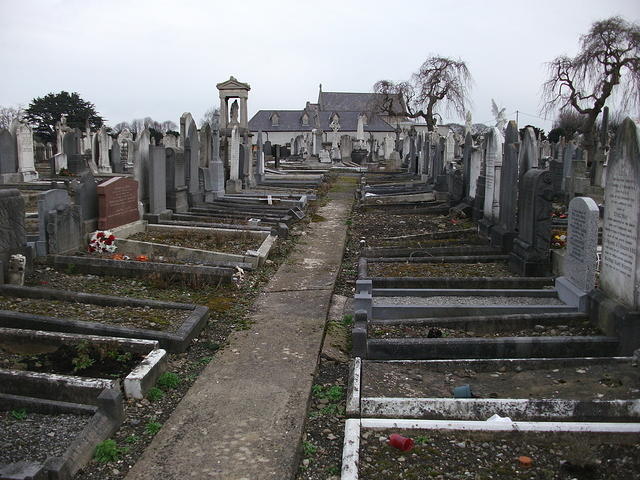DSCF0396