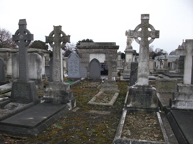 DSCF0399