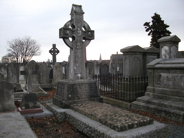 DSCF0401