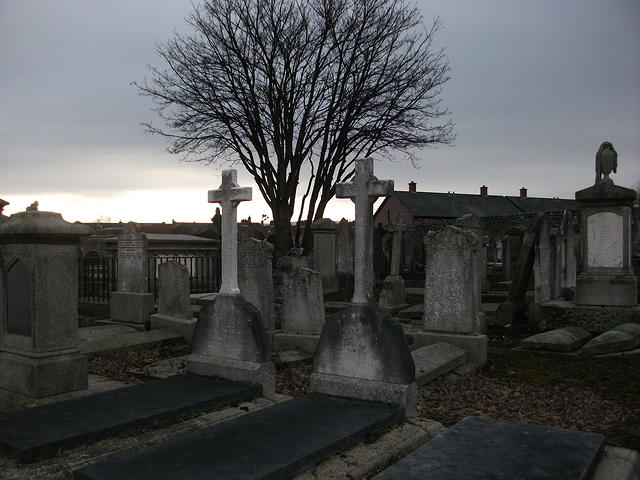 DSCF0404