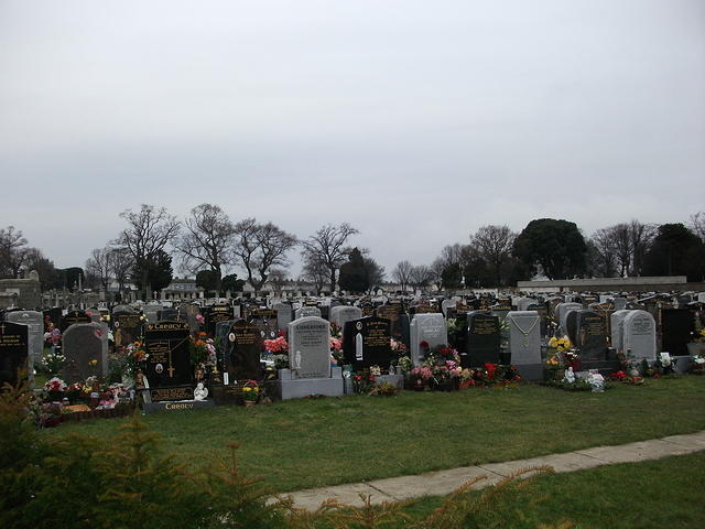 DSCF0406