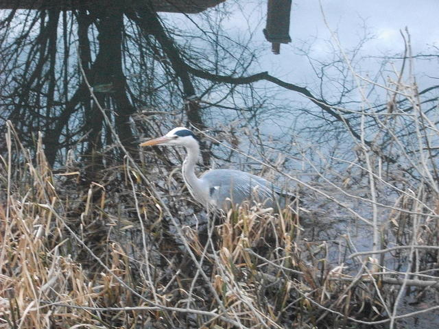 DSCF1765