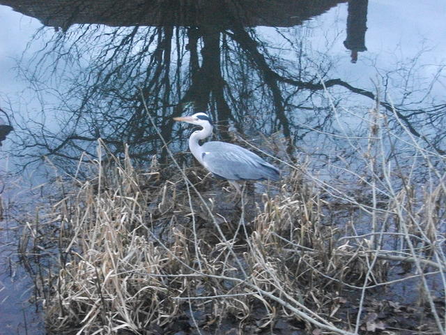 DSCF1766