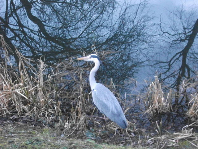 DSCF1768
