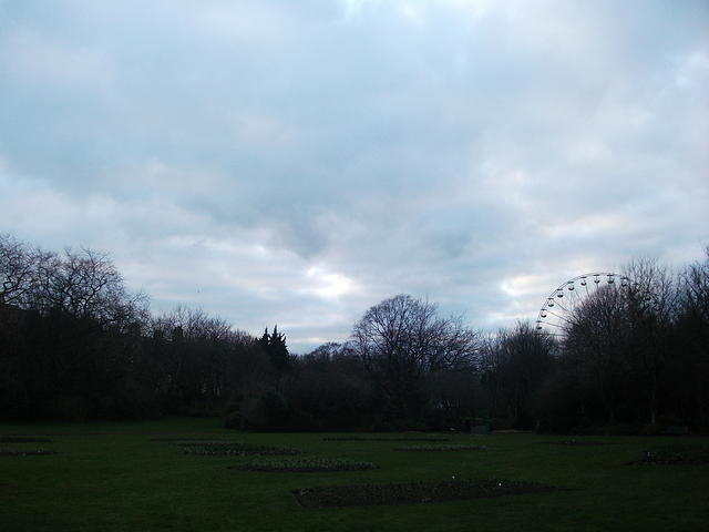 DSCF1803