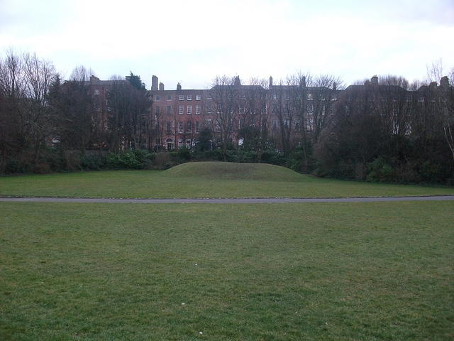 DSCF1810