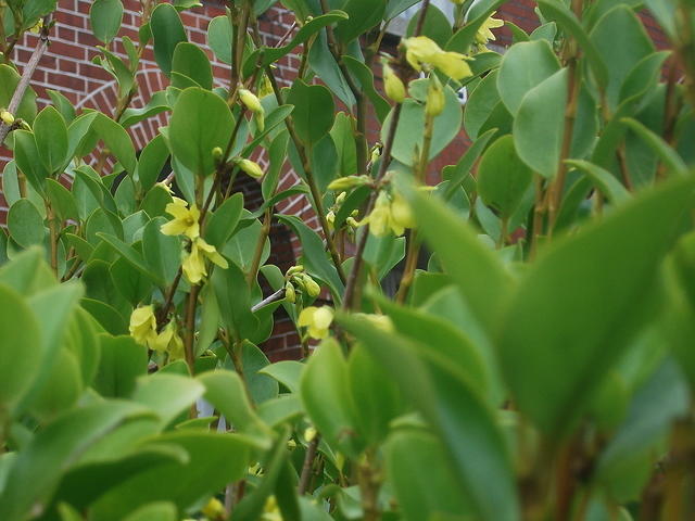 DSCF2283