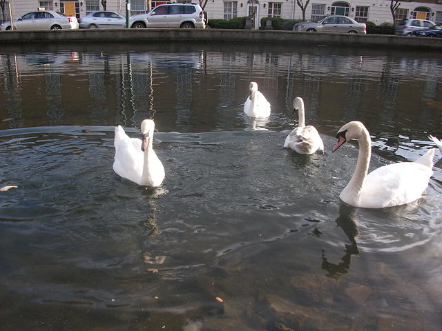 DSCF2327