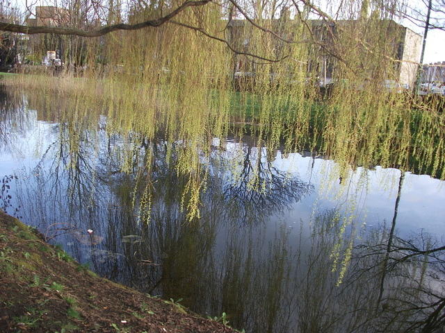 DSCF2344