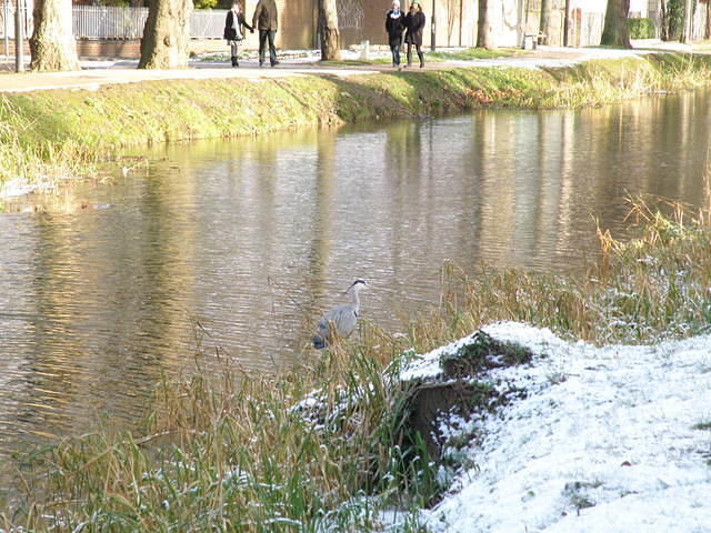 P1021005