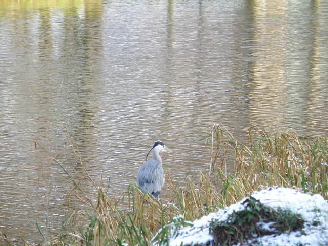 P1021006