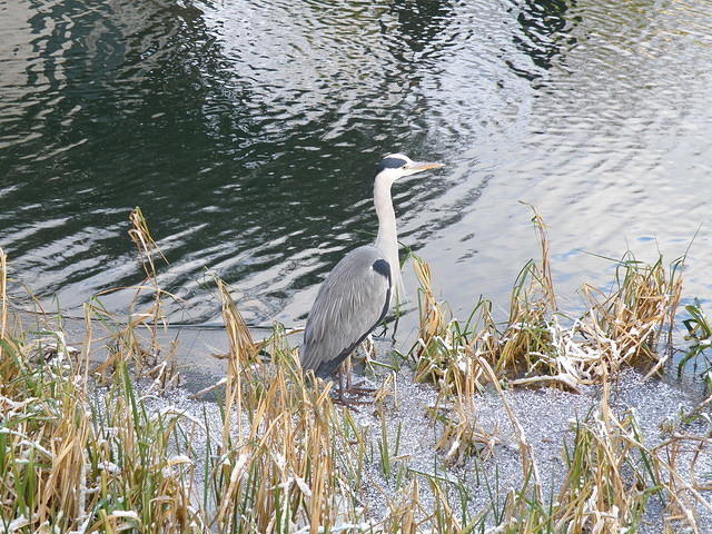 P1021010