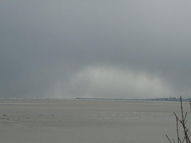 P1061026